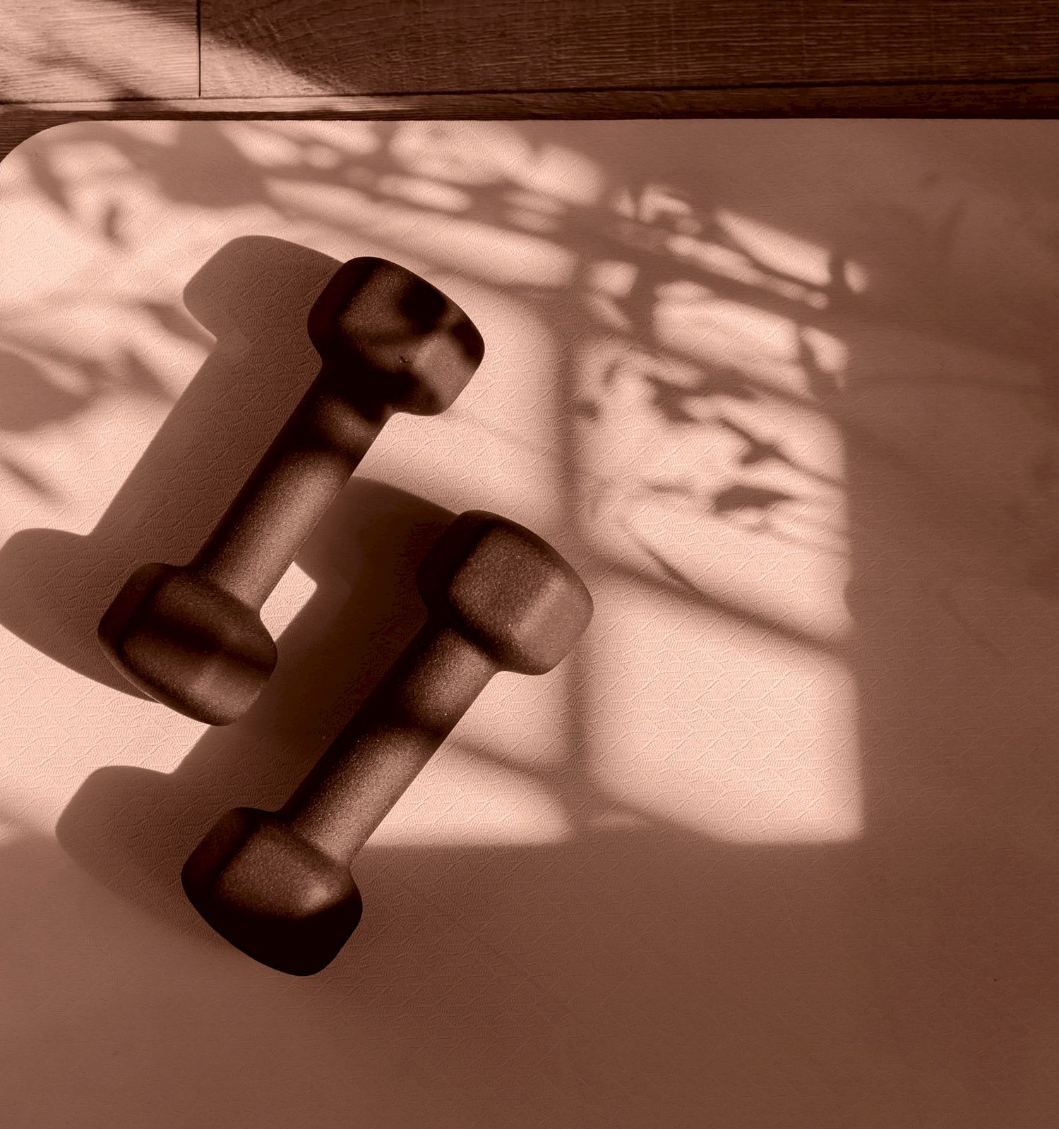 Two dumbbells rest on a mat with shadow patterns cast by leaves, creating a serene workout setting.