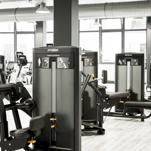 The image shows a modern gym with various workout machines, bright lighting, and large windows for natural light.