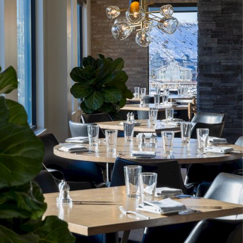 The image shows a modern restaurant interior with neatly arranged tables, chairs, glassware, and plants, featuring large windows.